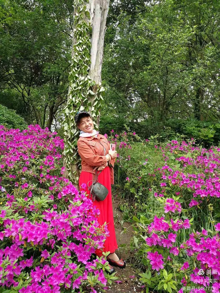 神采奕奕